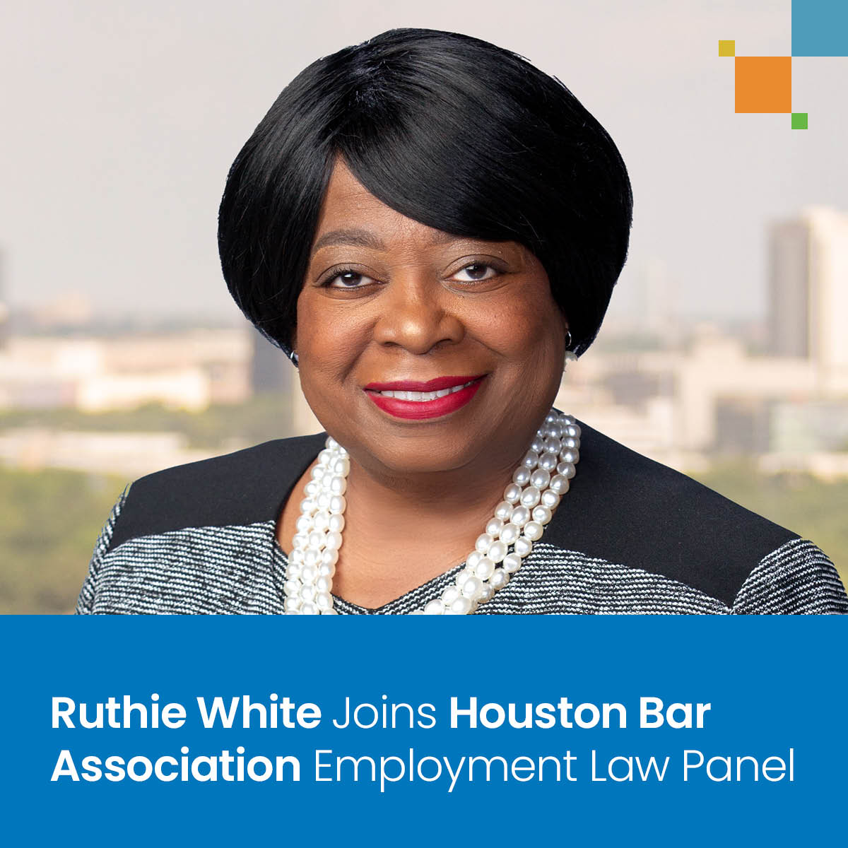 Ruthie White Joins Houston Bar Association Employment Law Panel